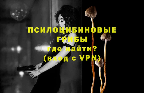 круглые Алексеевка
